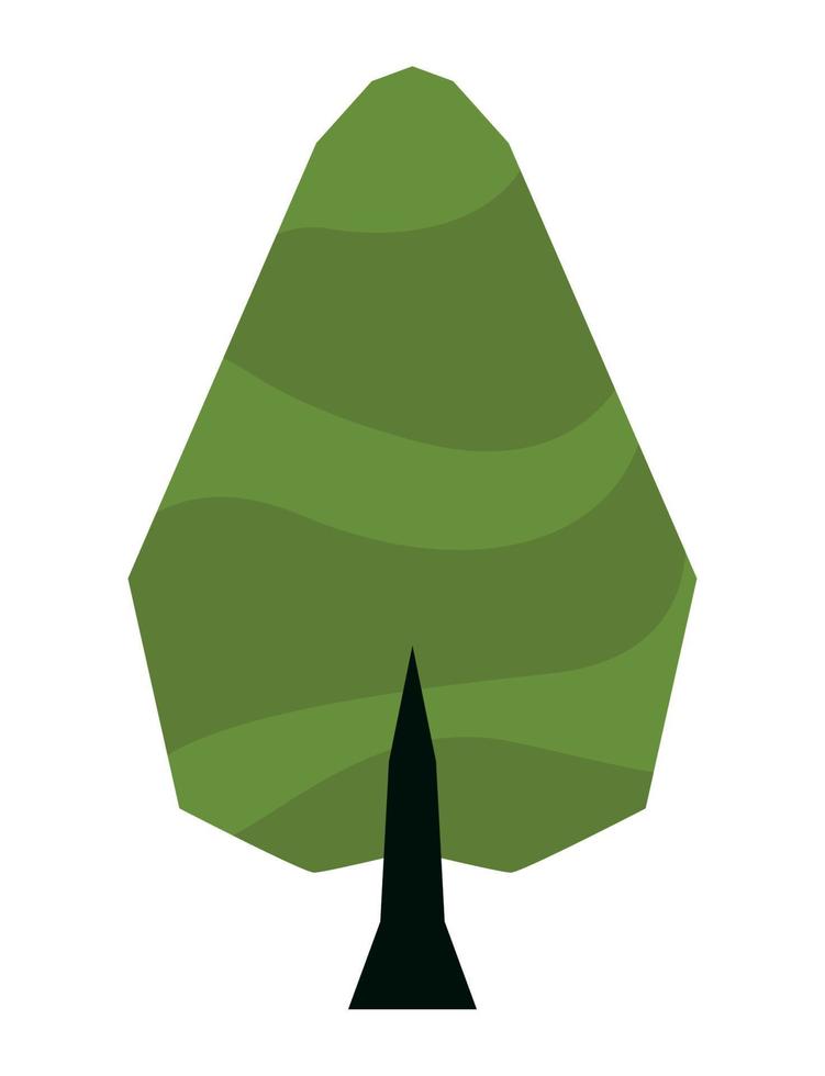 green pine tree vector