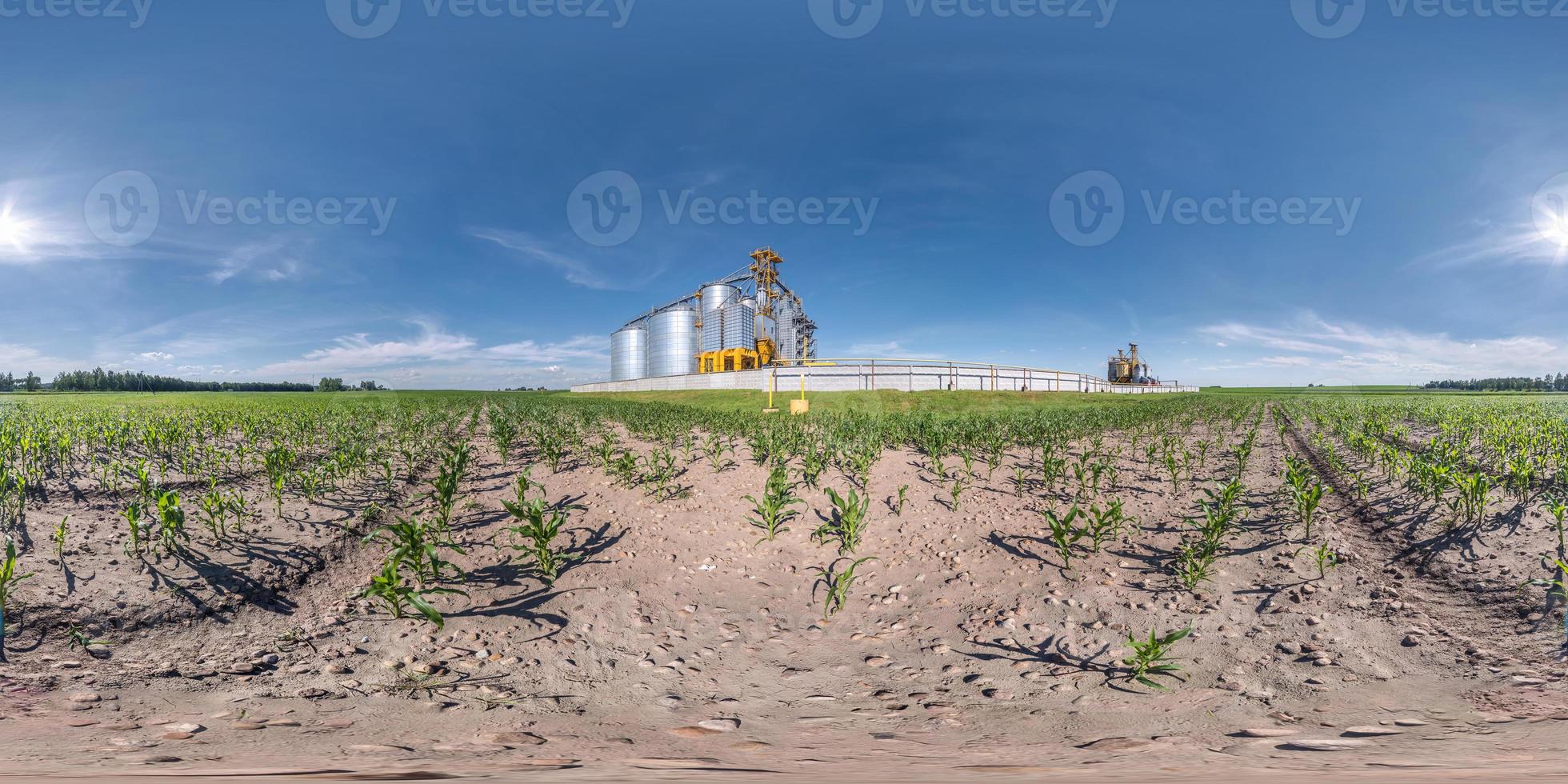 full seamless spherical hdri panorama 360 degrees angle view near silver silos for drying cleaning and storage of agricultural products  in equirectangular projection, ready for VR AR virtual reality photo