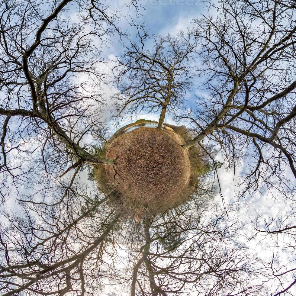 Little planet transformation of spherical panorama 360 degrees. Spherical abstract aerial view in oak forest with clumsy branches. Curvature of space. photo