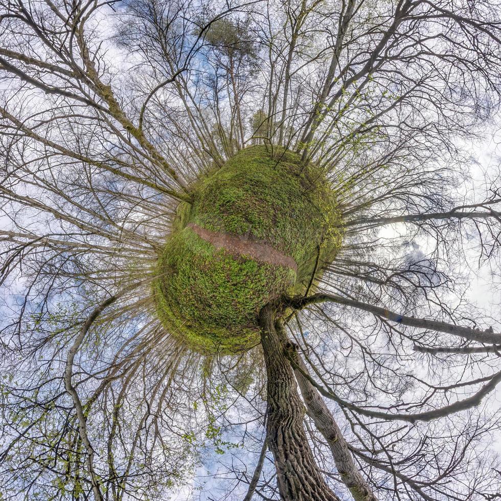 pequeño planeta transformación de panorama esférico 360 grados. vista aérea abstracta esférica en el bosque de primavera. curvatura del espacio. foto