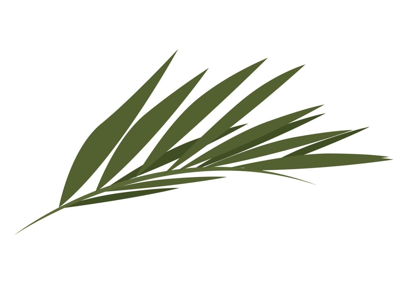 follaje de la planta de hoja de palma vector