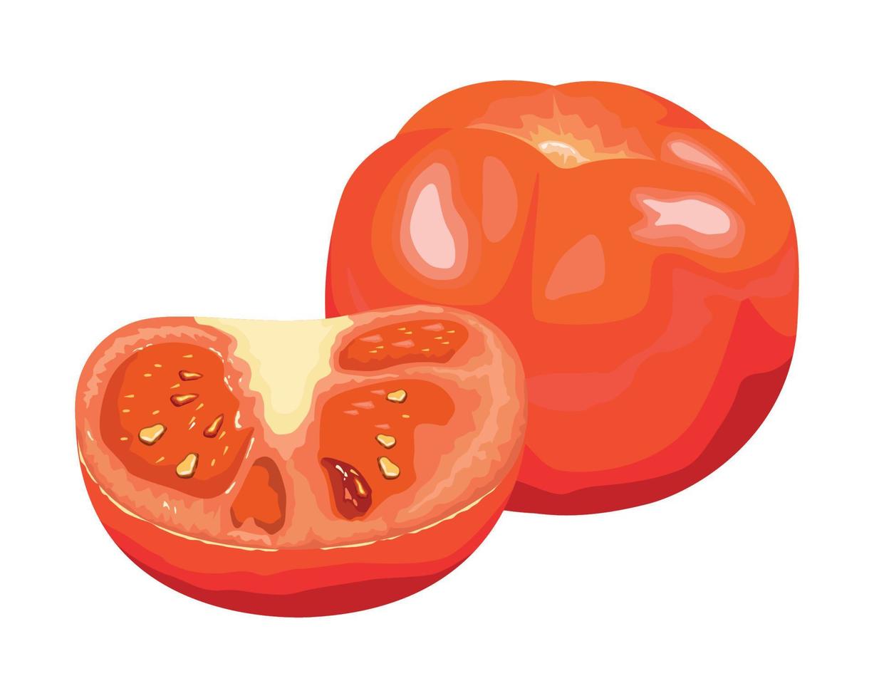 fresh tomatoes vegetable vector