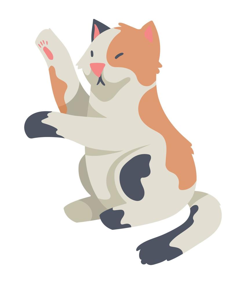 gato naranja y gris vector