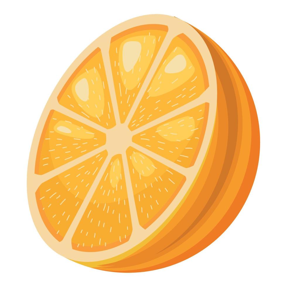 fresh orange fruit vector