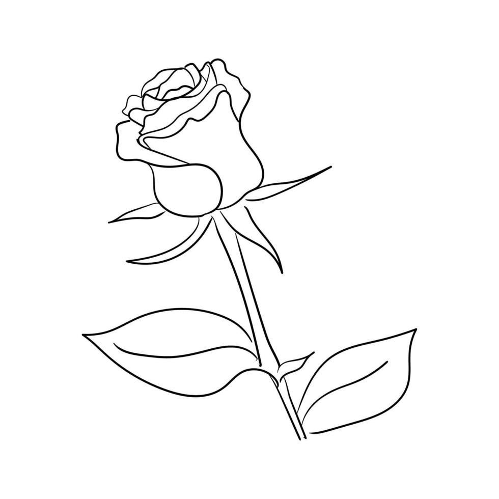 dibujado a mano línea arte flor rosa ilustración vectorial vector