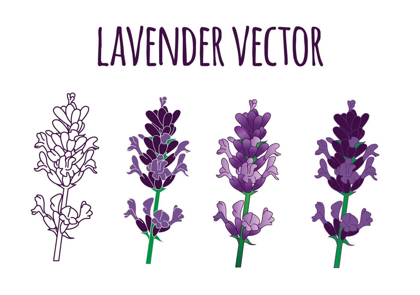 conjunto de paquete de ilustración de vector de lavanda dibujada a mano púrpura