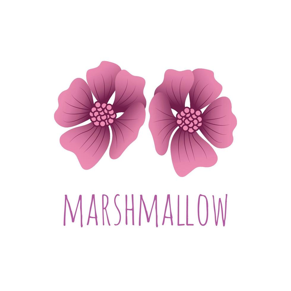 purple marshmallow flower vector illustration