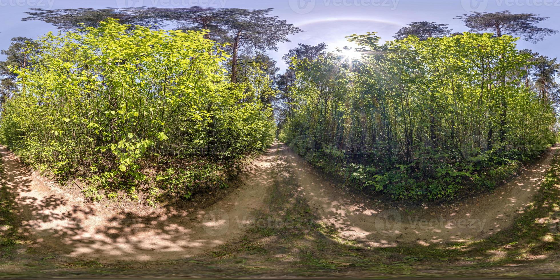 panorama hdri esférico completo sin costuras vista en ángulo de 360 grados en camino de grava sin tráfico entre bosques en el día de verano en proyección equirectangular, contenido de realidad virtual listo vr ar foto