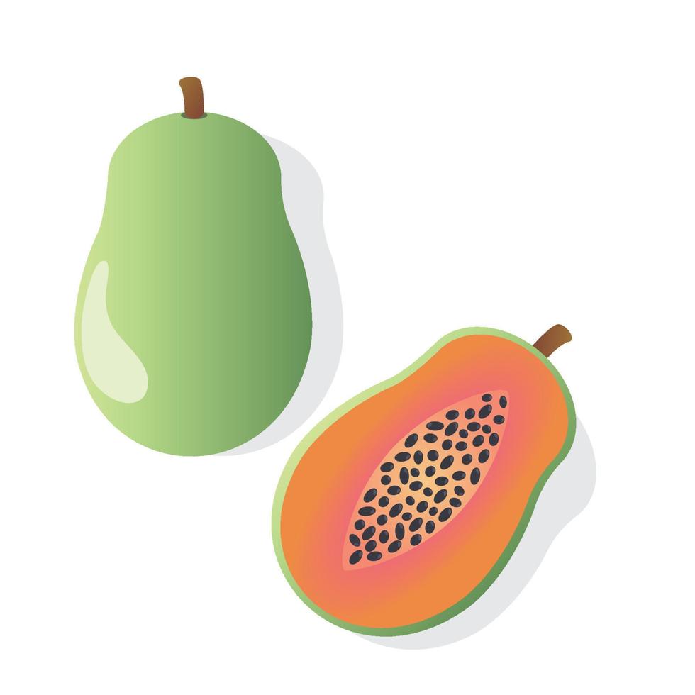 Papaya vector illustration graphic