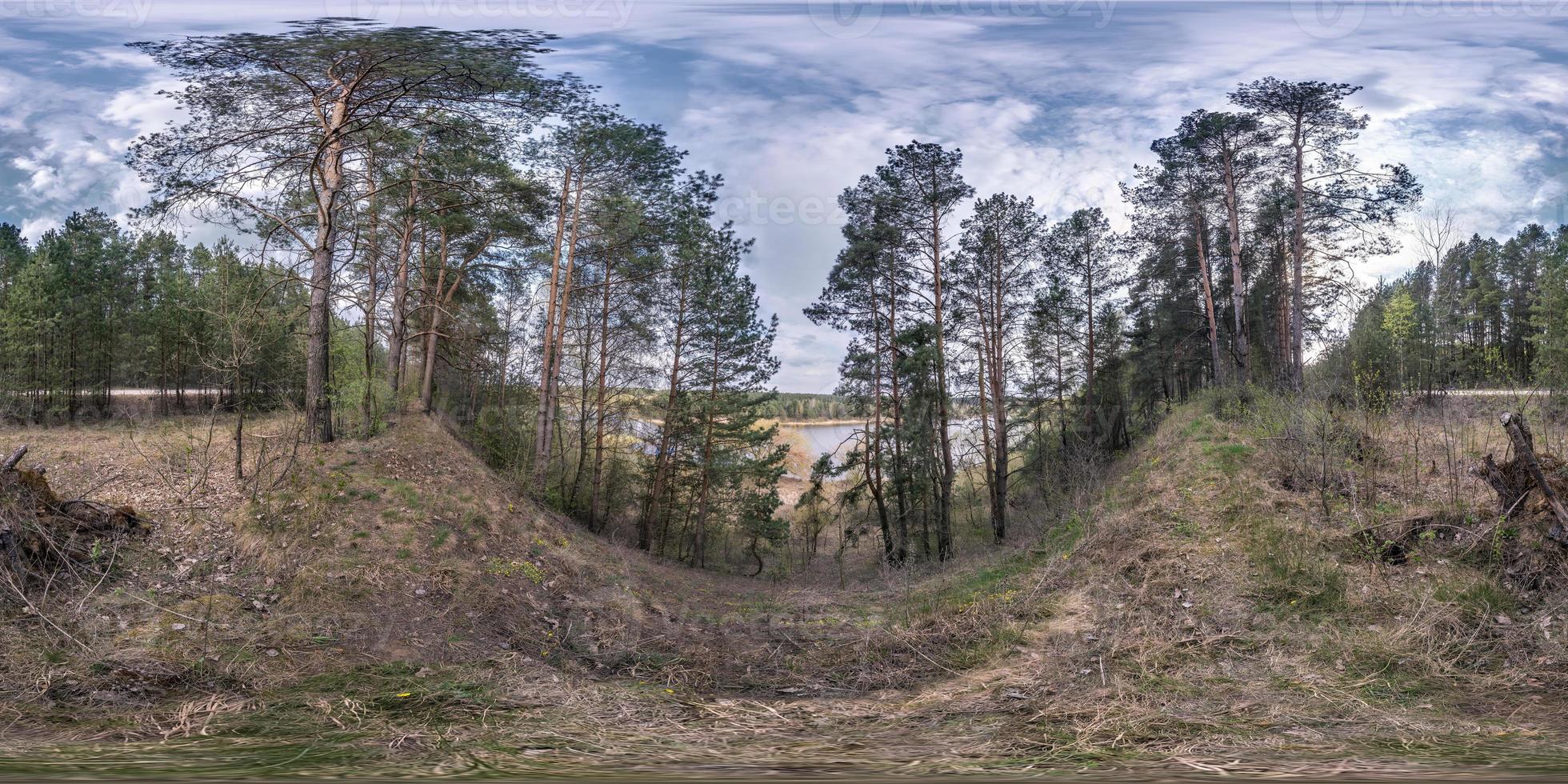 full seamless spherical hdri panorama 360 degrees angle view on high coast of wide river in pinery forest in spring day in equirectangular projection, ready for AR VR virtual reality content photo