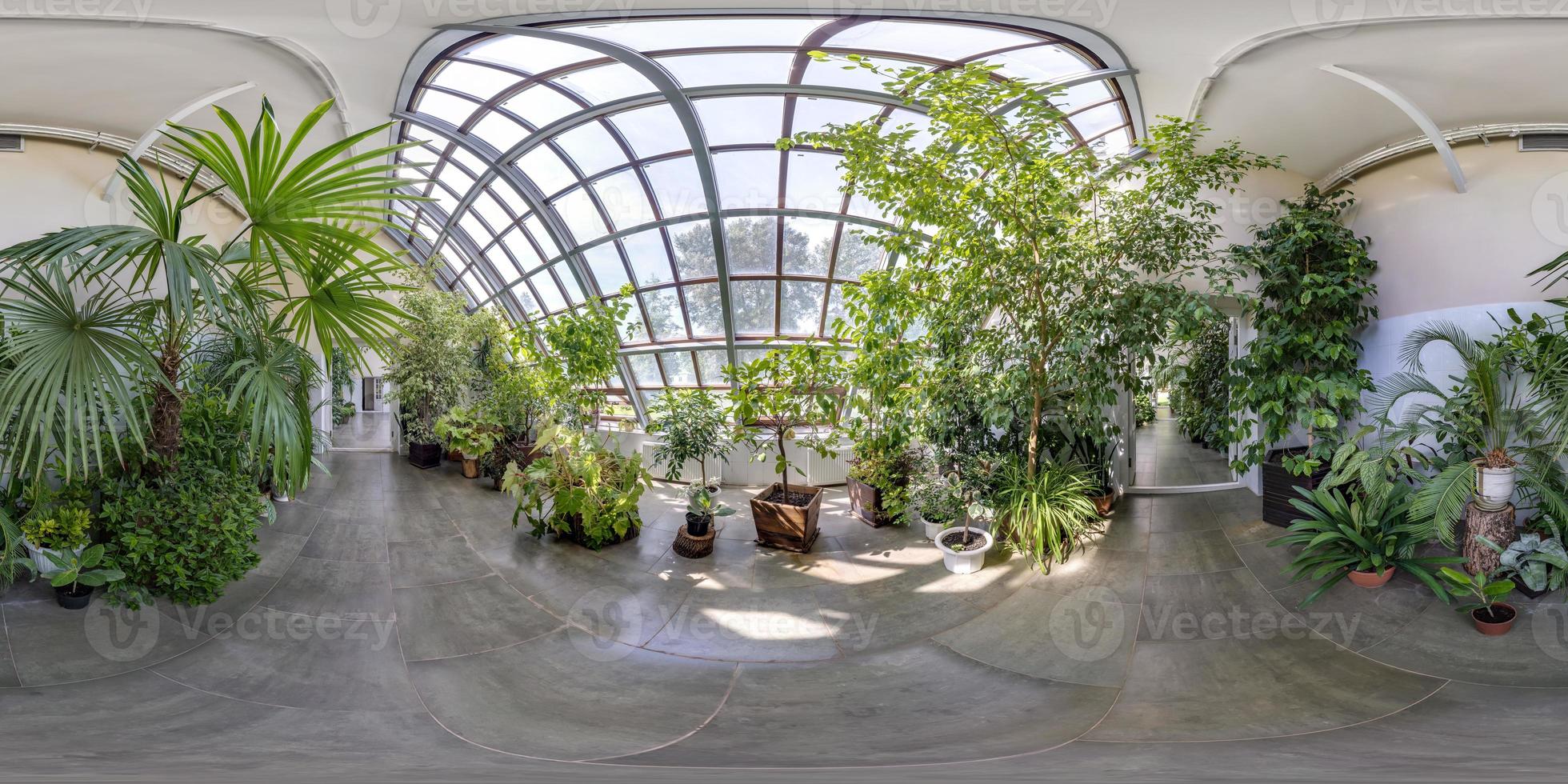 vista de ángulo de 360 grados de panorama hdri esférico completo en invernadero con muchas plantas en proyección equirectangular. contenido vr ar foto