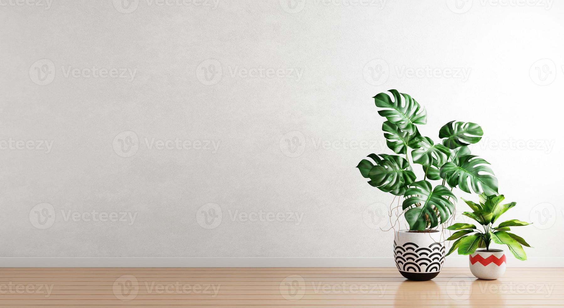 Green plants in houseplants pot with white empty wall background. Interior architecture and natural concept. 3D illustration rendering photo