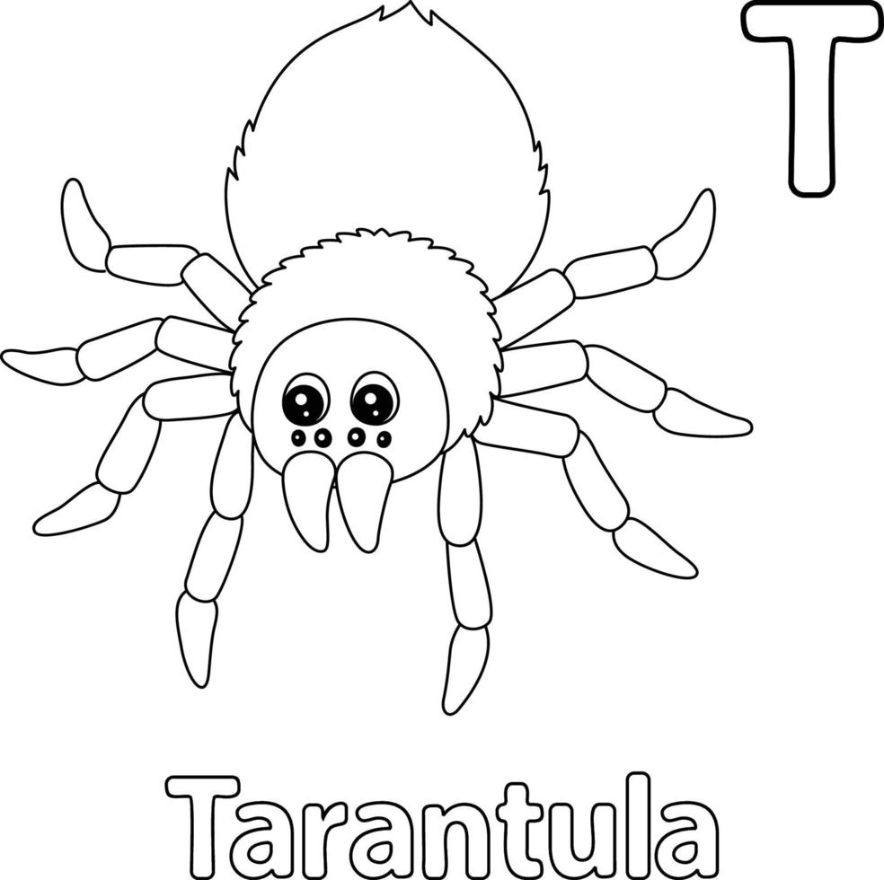 Tarantula Alphabet ABC Coloring Page T vector