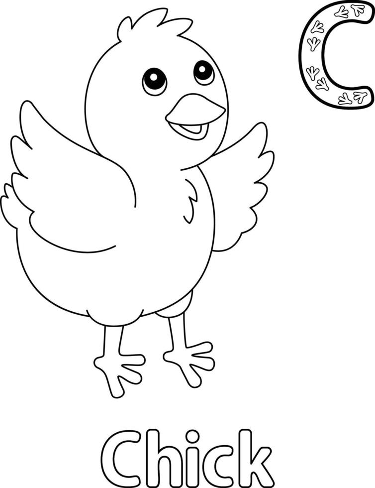 Chick Alphabet ABC Coloring Page C vector
