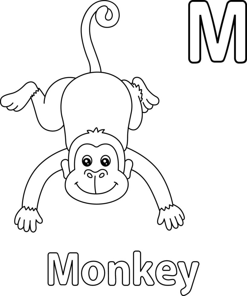 Monkey Alphabet ABC Coloring Page M vector