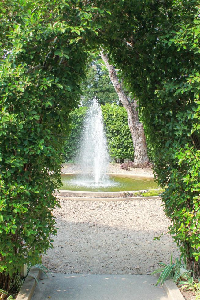wall of green tree and fountain in the park photo
