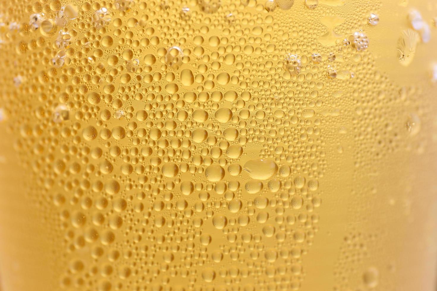 Closeup Orange beer and white froth background. photo