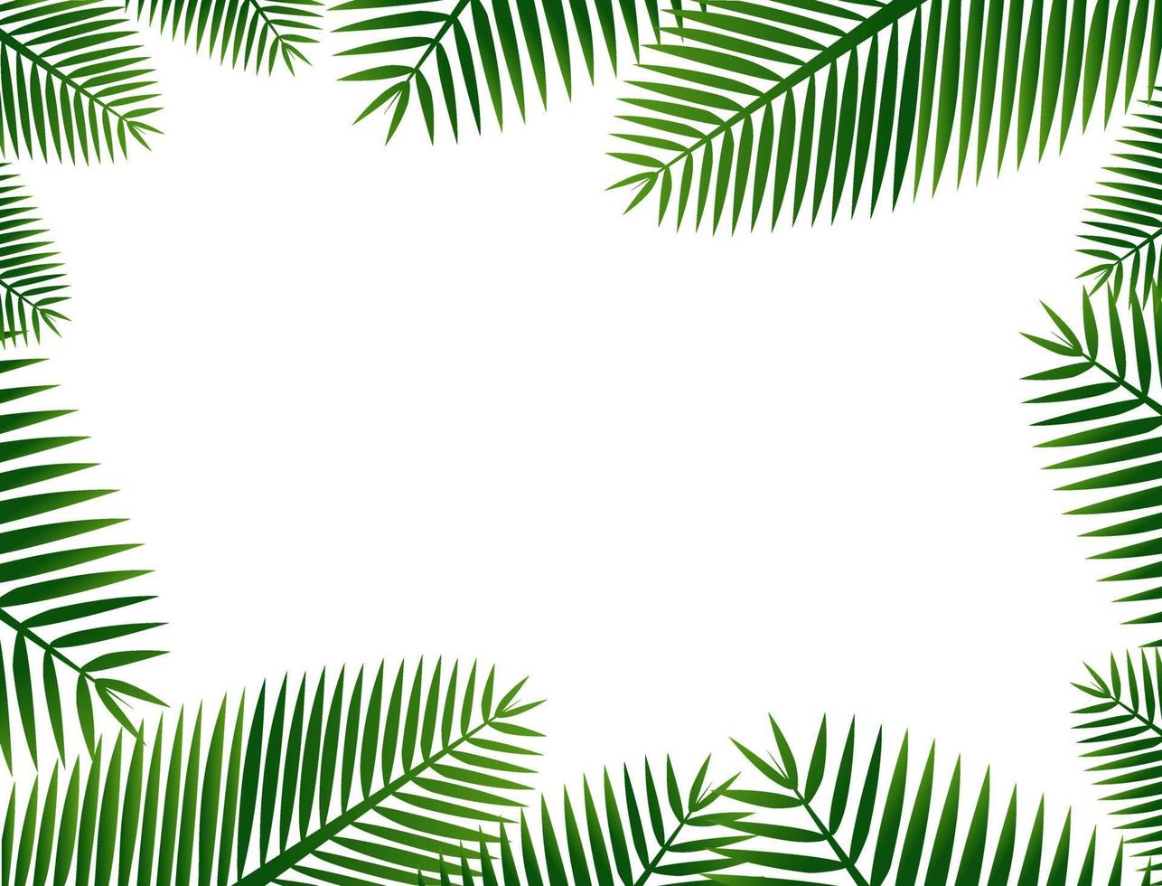 Nature background with coconut leaves around vector