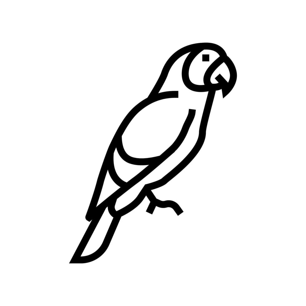 parrot tropical bird line icon vector illustration