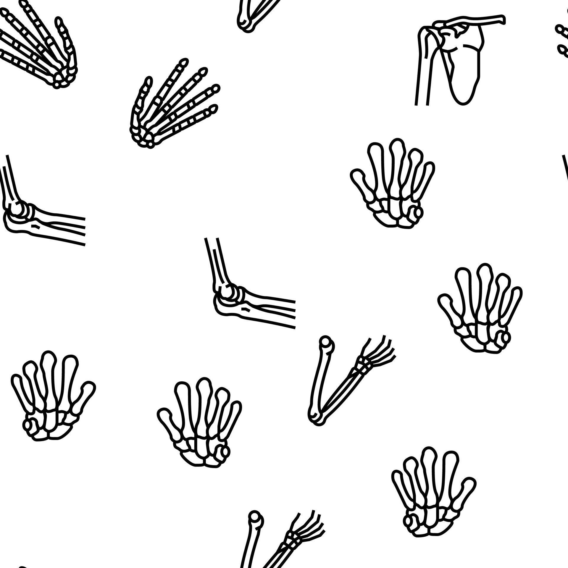 Bone Human Skeleton Structure Vector Seamless Pattern 10389607 Vector ...