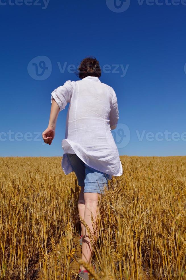 mujer joven en campo de trigo en verano foto