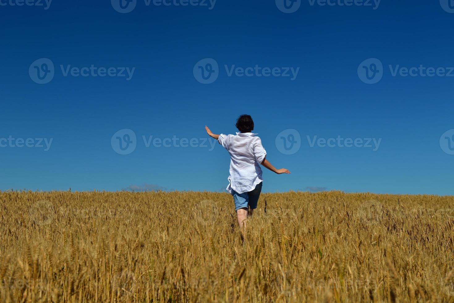 mujer joven en campo de trigo en verano foto