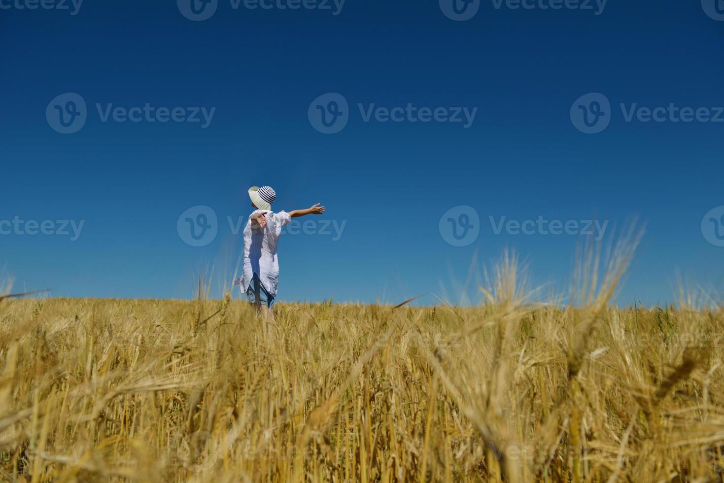 mujer joven en campo de trigo en verano foto