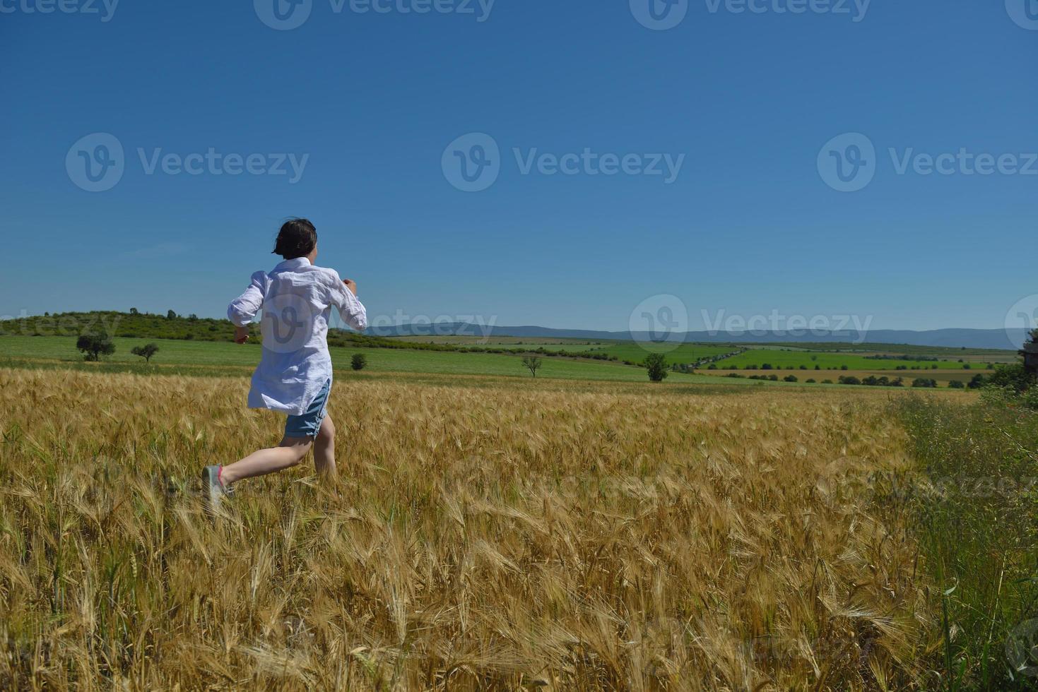 mujer joven en campo de trigo en verano foto