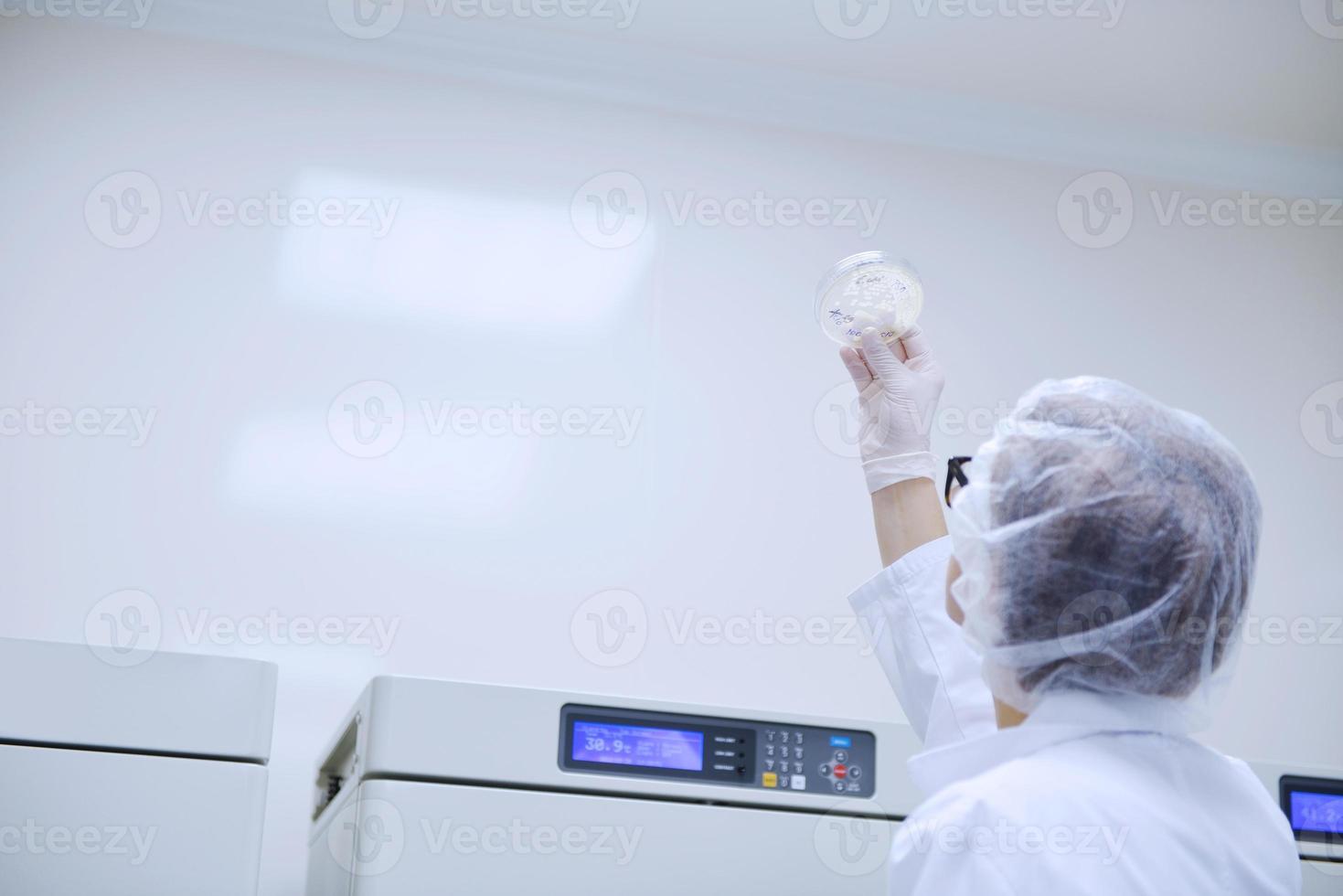 scientists working at the laboratory photo