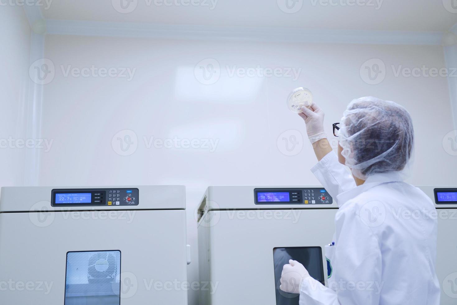 scientists working at the laboratory photo