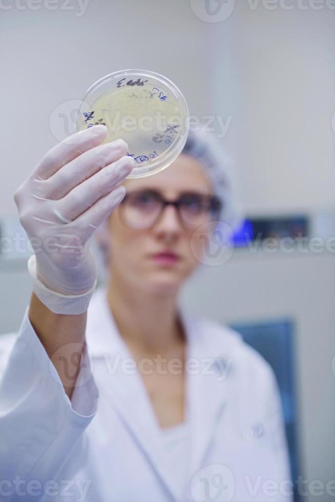 científicos que trabajan en el laboratorio foto