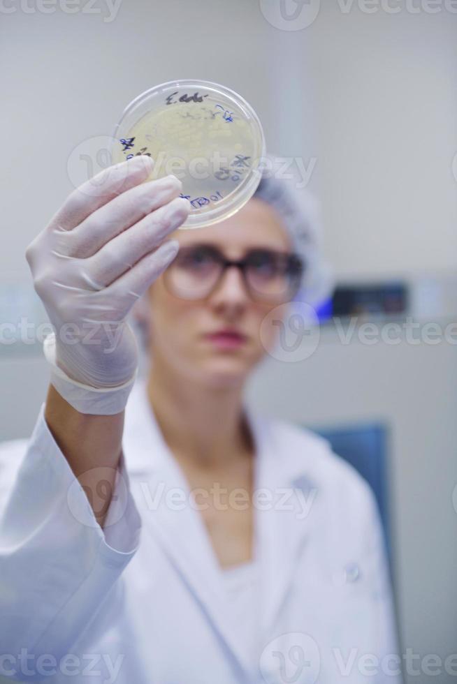 científicos que trabajan en el laboratorio foto