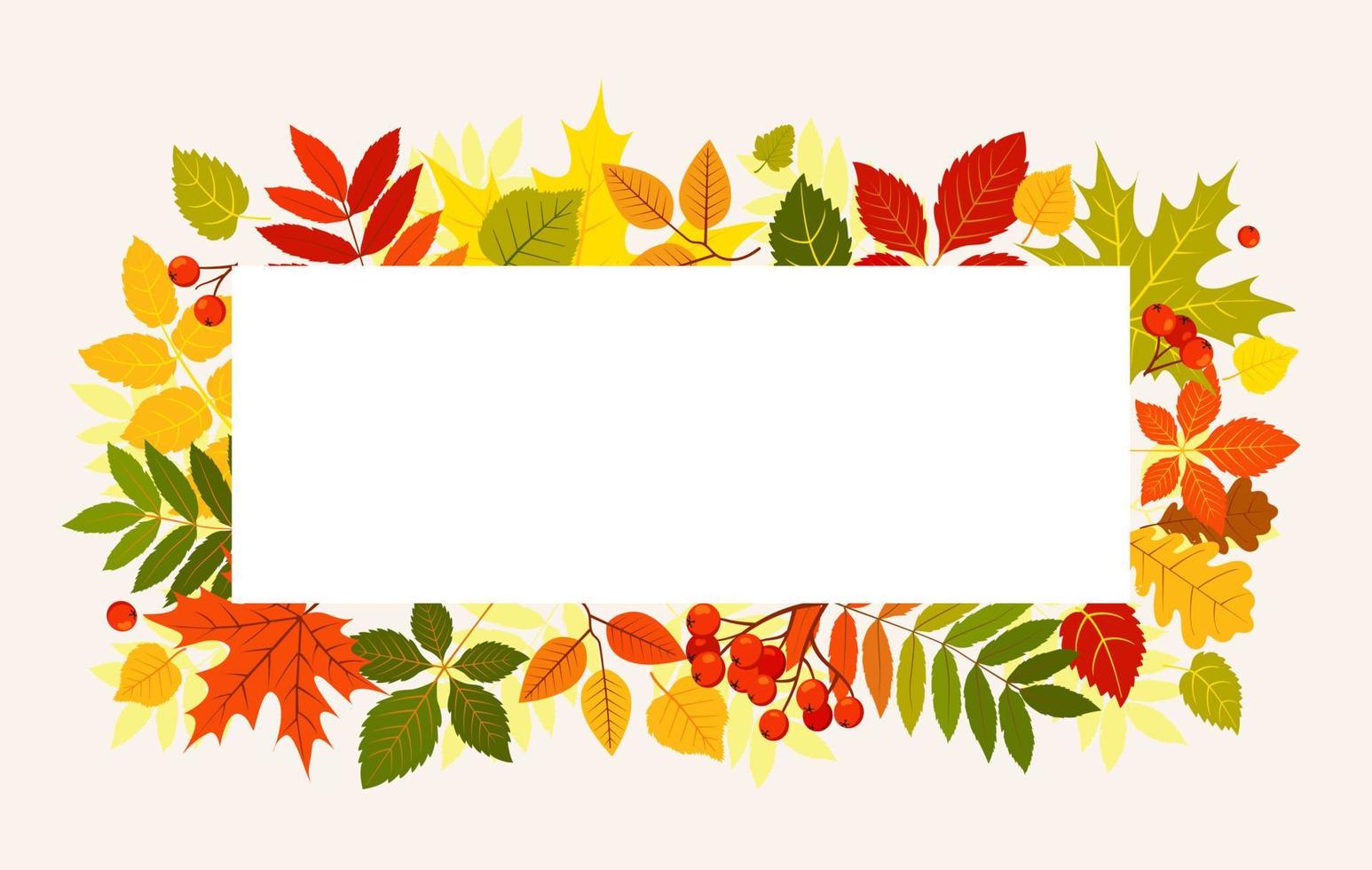 fondo de hojas de otoño. plantilla vectorial vector