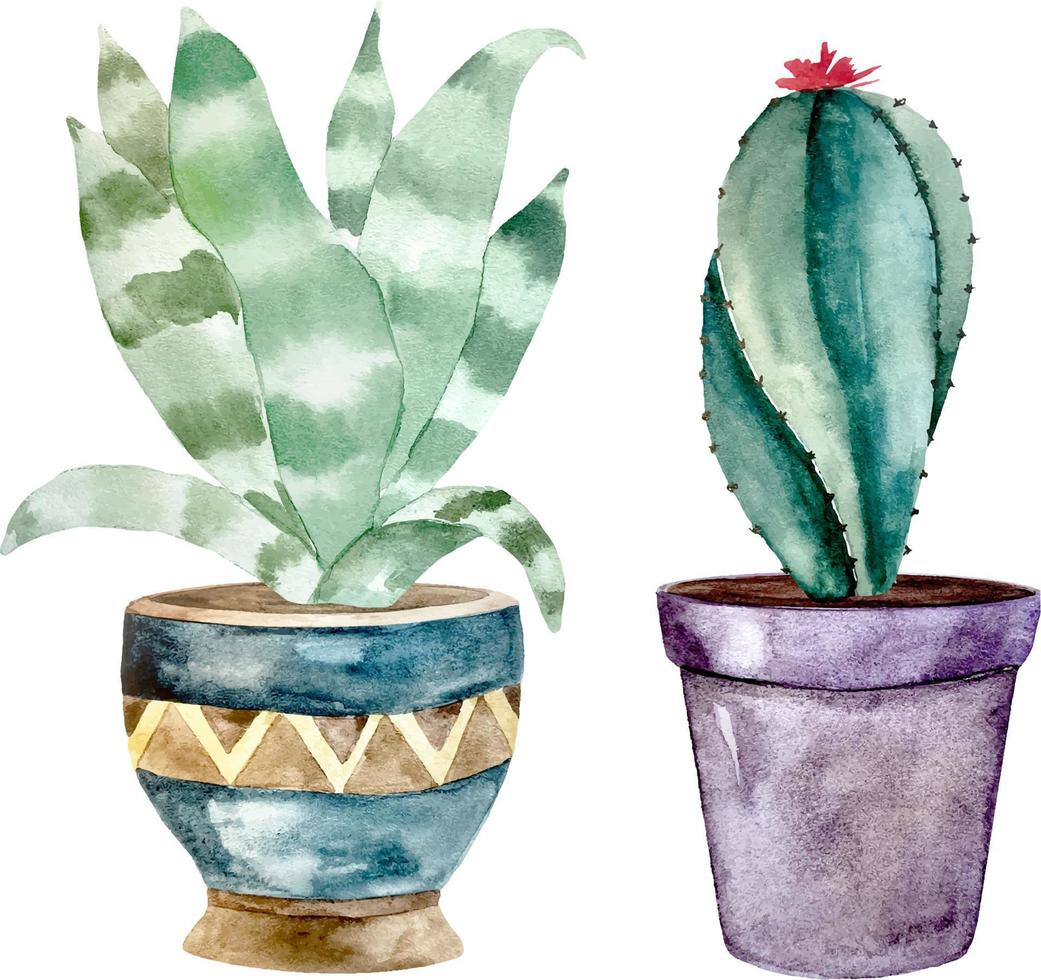 Watercolor cactus and succulent plants in pot. Watercolor indivi vector