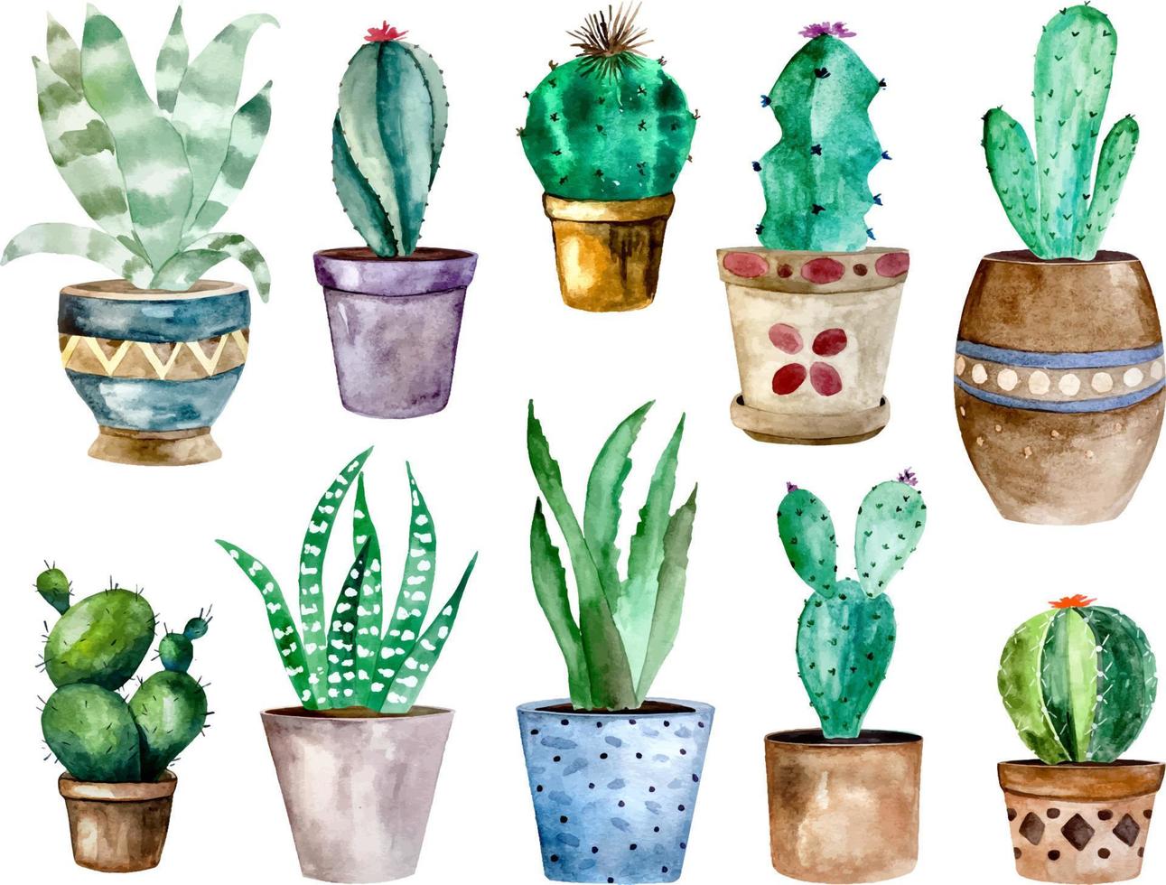Watercolor illustration of cactus and succulent plants in pot. Watercolor individual flower pot vector
