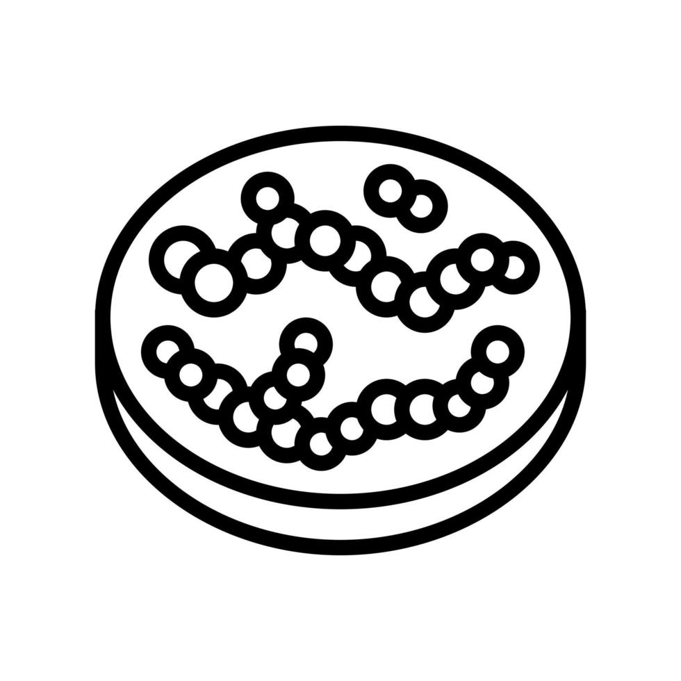 streptococcus bacteria line icon vector illustration