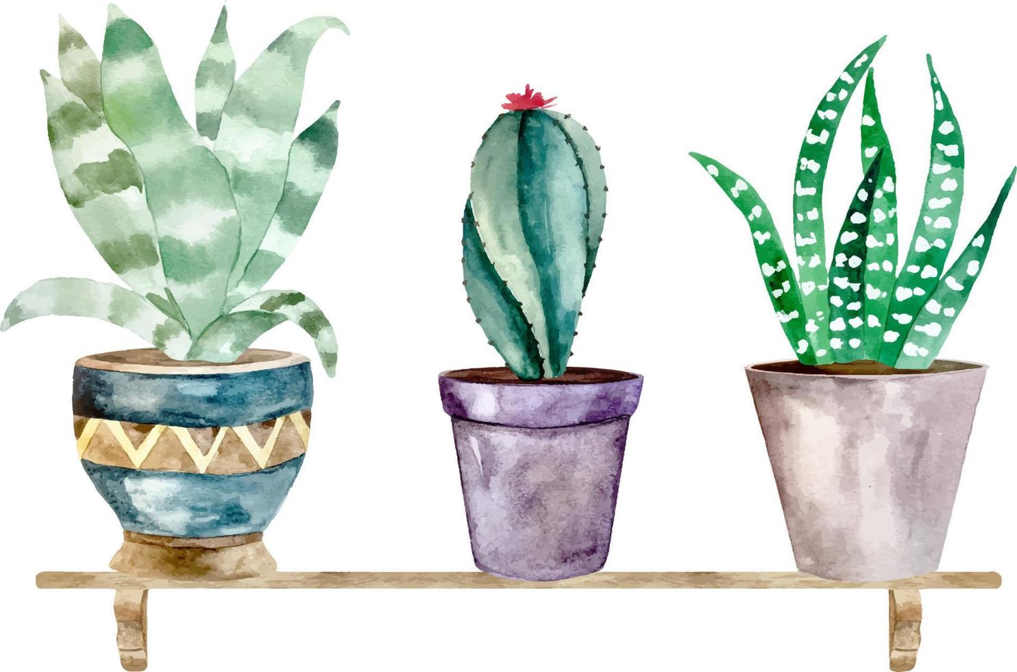 Watercolor illustration of cactus and succulent plants in pot. Watercolor individual flower pot vector