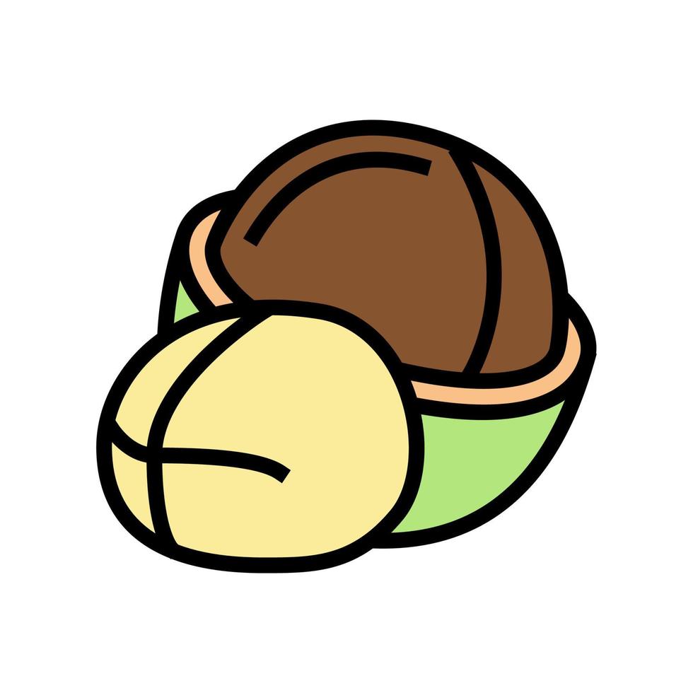 ilustración de vector de icono de color de nuez de macadamia