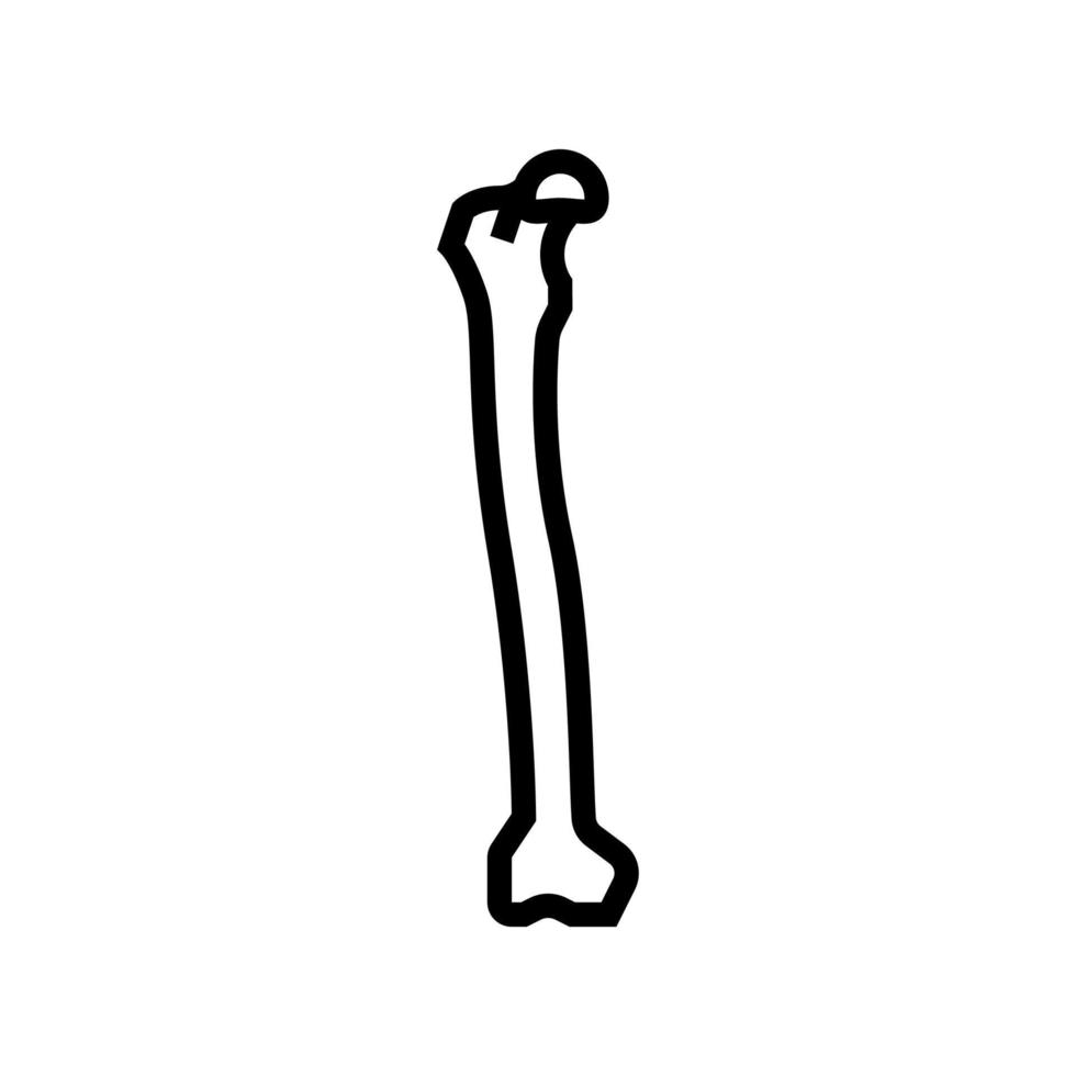 femur bone line icon vector illustration