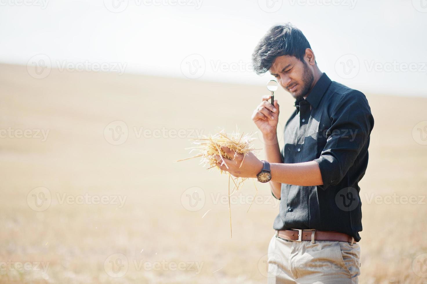 South asian agronomist farmer inspecting wheat field farm. Agriculture production concept. photo