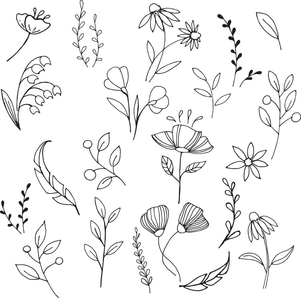 ilustración vectorial de estilo garabato. conjunto de elementos simples de flores y plantas. flores estilizadas, ramitas de plantas, hojas. iconos simples dibujados a mano. símbolo de la jardinería, la llegada de la primavera, el verano vector