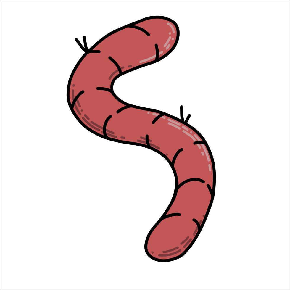 vector drawing in cartoon style. earthworm. cute earthworm picture