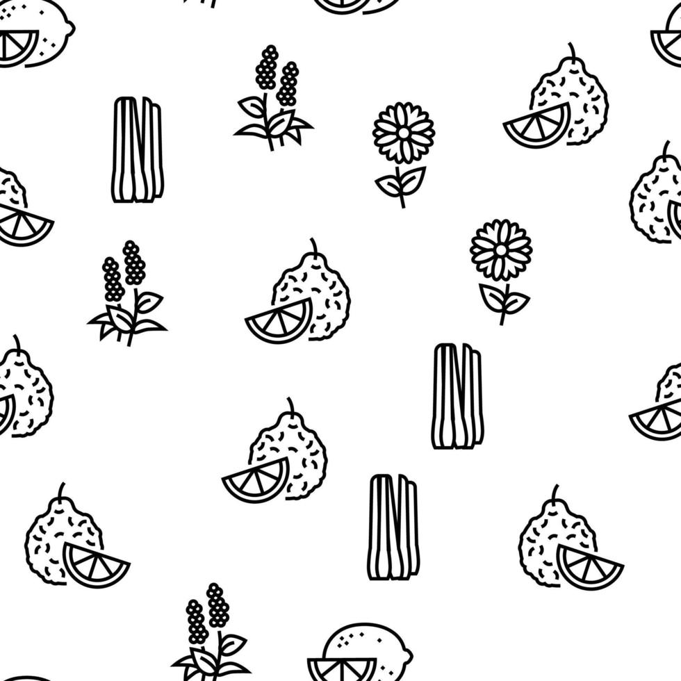 Aromatherapy Herbs Vector Seamless Pattern