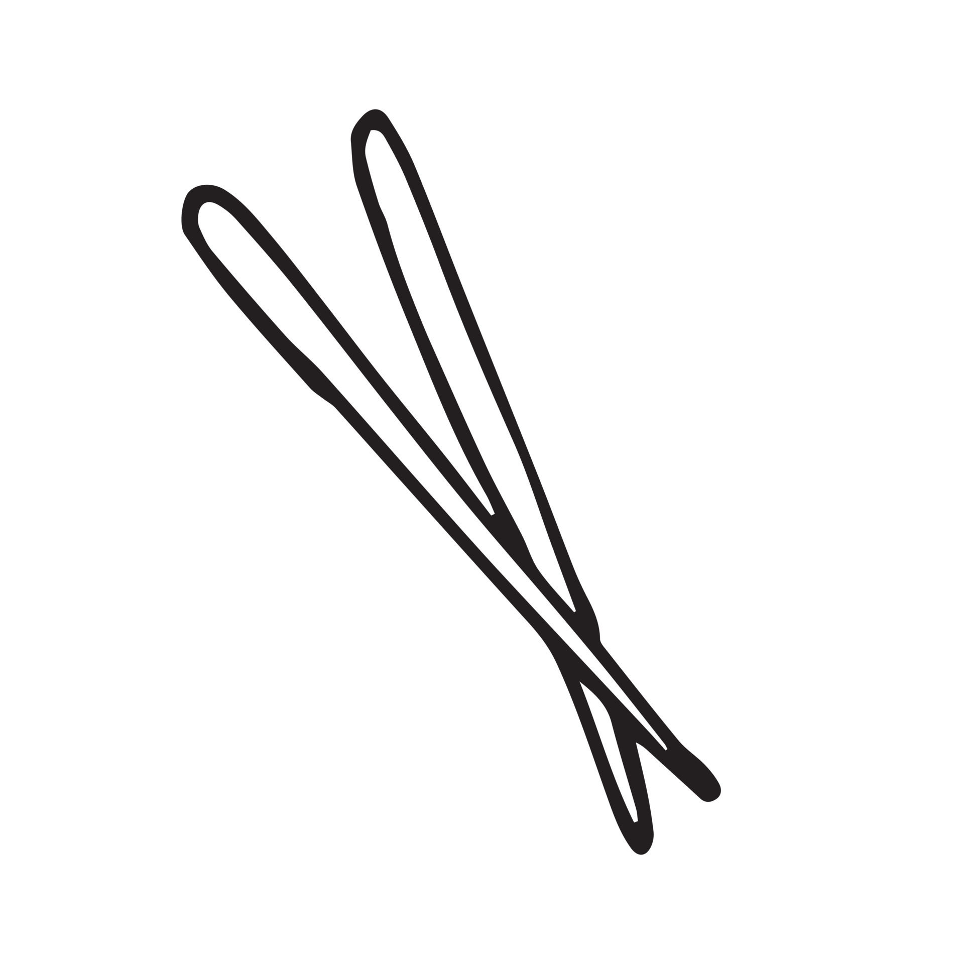 Palillos Chinos, Chop Sticks Vector Icono. Aparato De Cocina