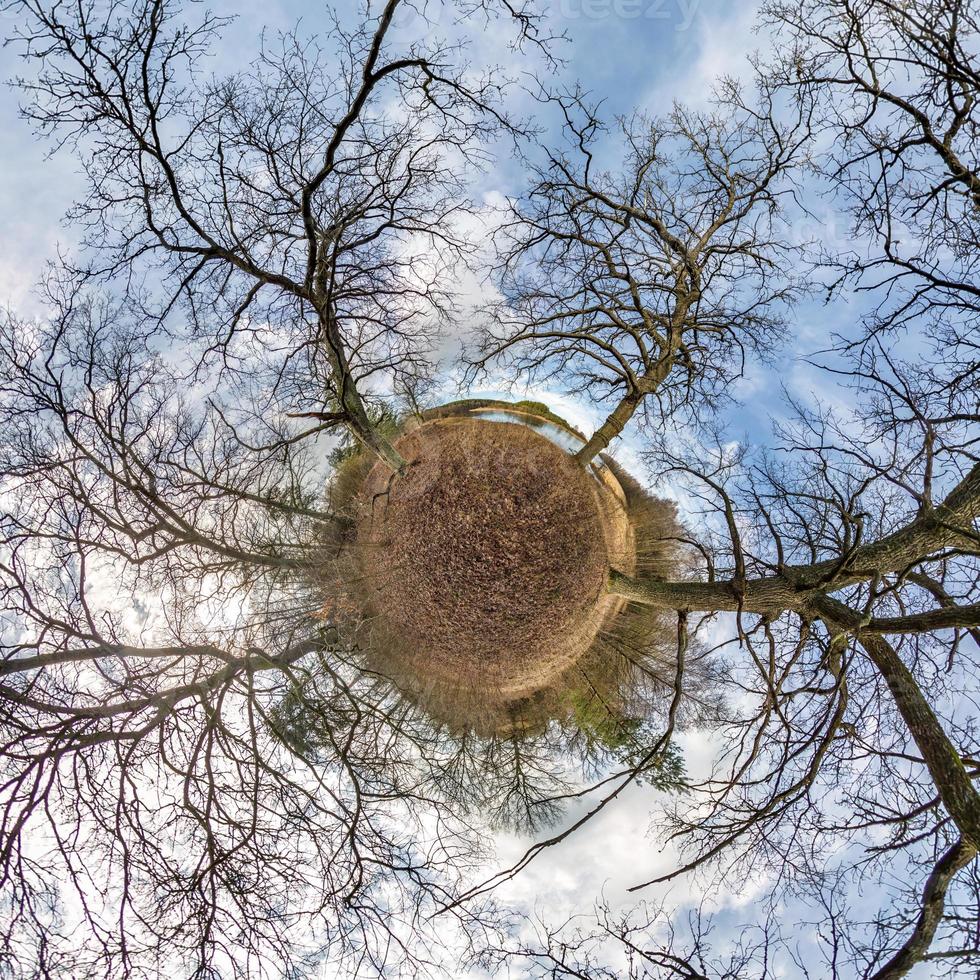 Little planet transformation of spherical panorama 360 degrees. Spherical abstract aerial view in oak forest with clumsy branches. Curvature of space. photo