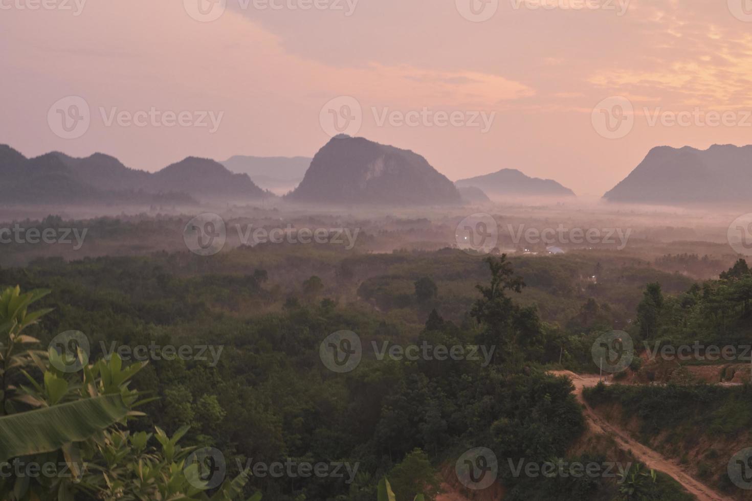 Panorama scenery of tranquil tropical natural landscape background in fog, view of green forest in a mountain range, in the dawn with sunrise, beautiful outdoor environment, Asia travel destination. photo