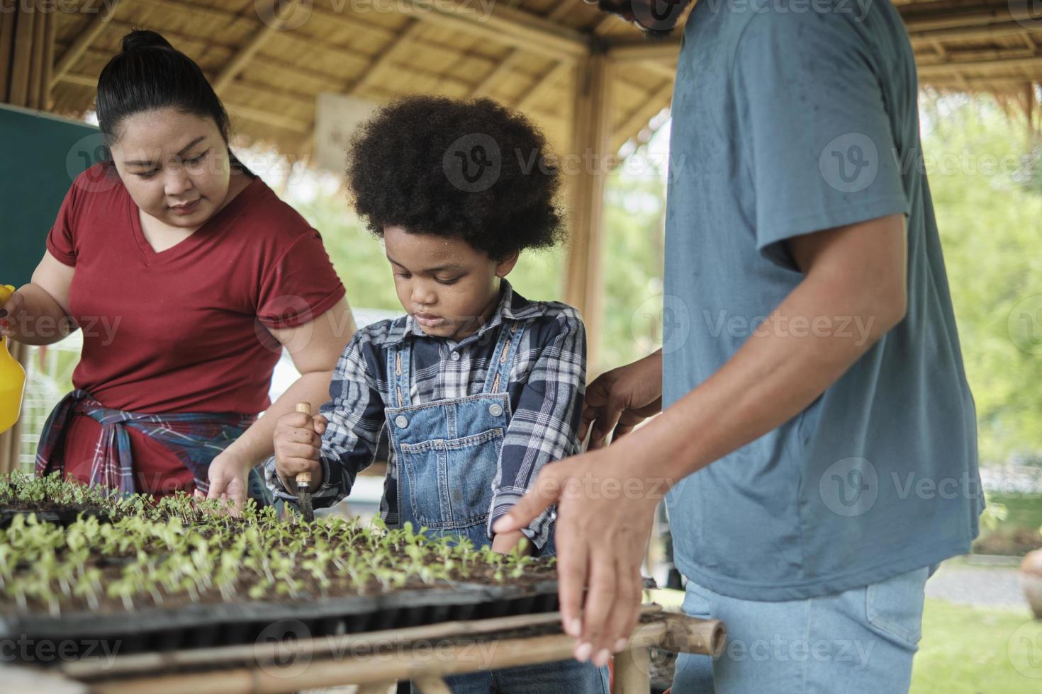 African American farmer family teaches their son to plant seedlings in vegetable gardening nursery plots for nature ecology learning, organic gardener hobby, happy together with childhood agriculture. photo