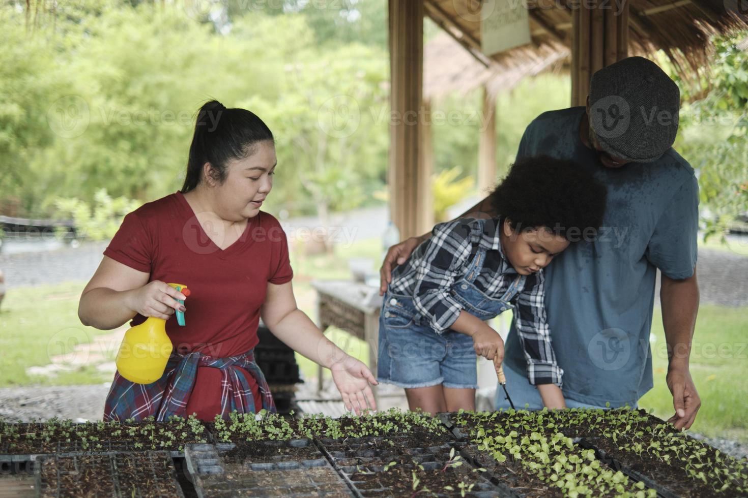 African American farmer family teaches their son to plant seedlings in vegetable gardening nursery plots for nature ecology learning, organic gardener hobby, happy together with childhood agriculture. photo