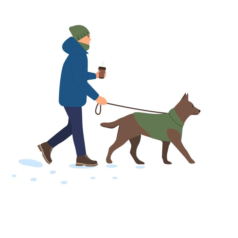 Man walking with dog in winter. Boy  leading pet on leash in cold weather with snow. Wintertime. Coffee in hand. Flat vector illustration isolated on white background