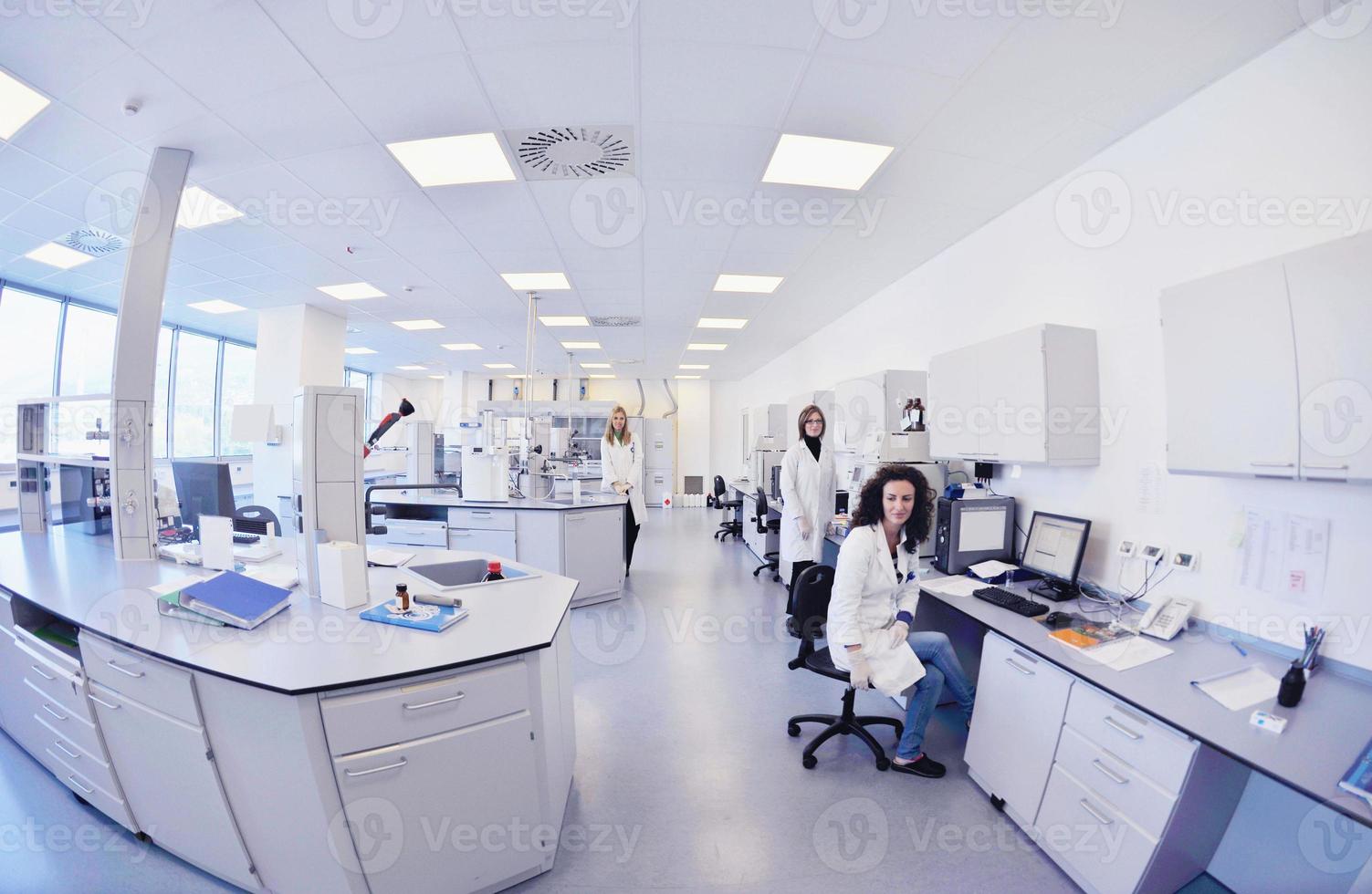 scientists working at the laboratory photo